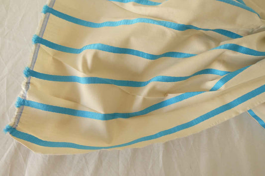 Blue Stripe Yarn-Dyed Cotton Poplin Fabric – 2.2 yd