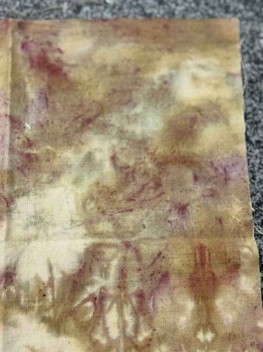 Cancer's Shore - Plant-Dyed Fabric Swatch