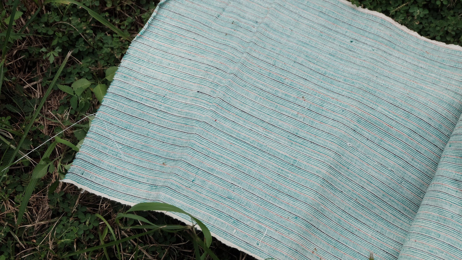 Striped Tǔbù - BUBBO