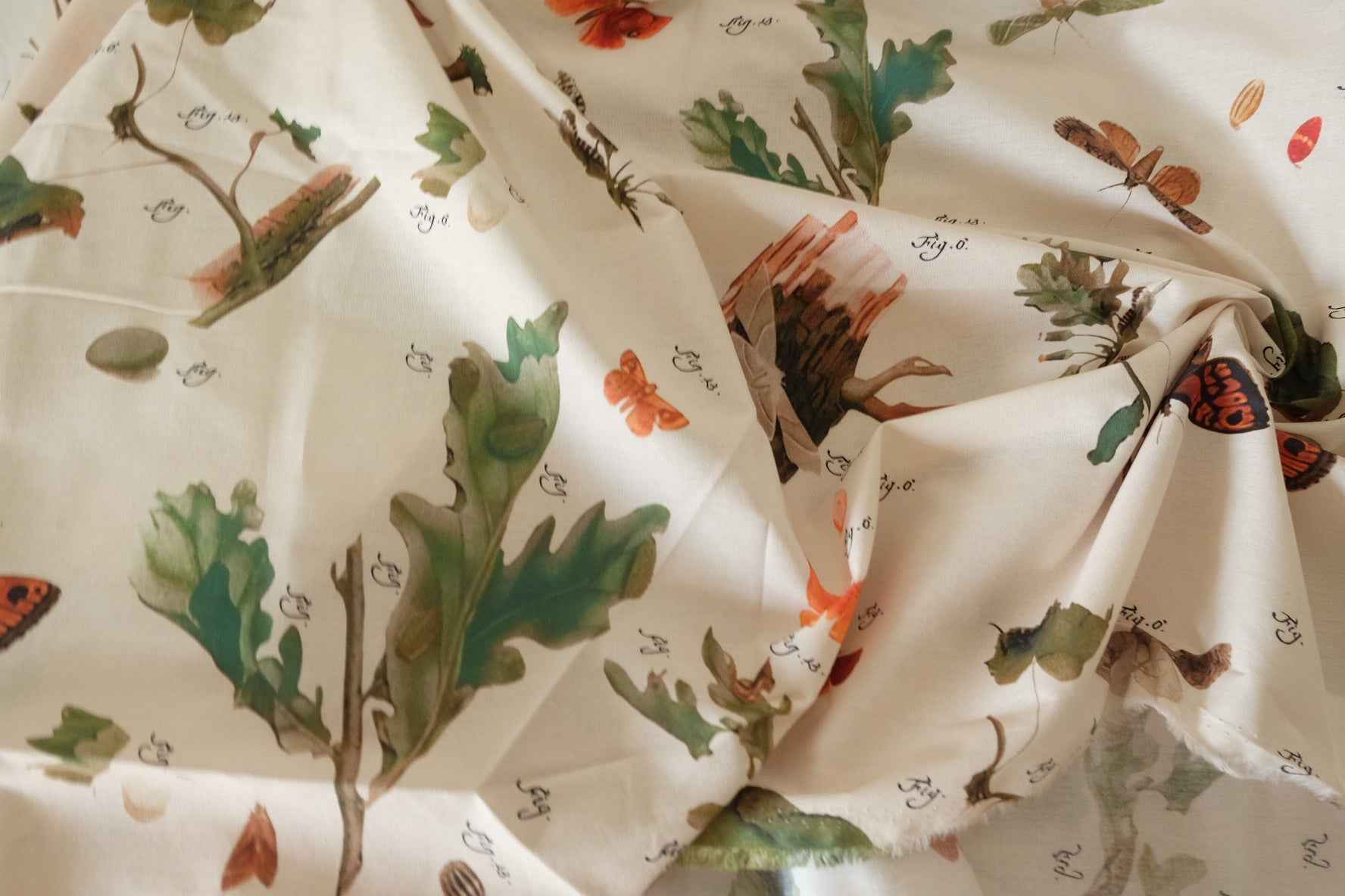 Naturalist Study Cotton Poplin — 2.73 yd
