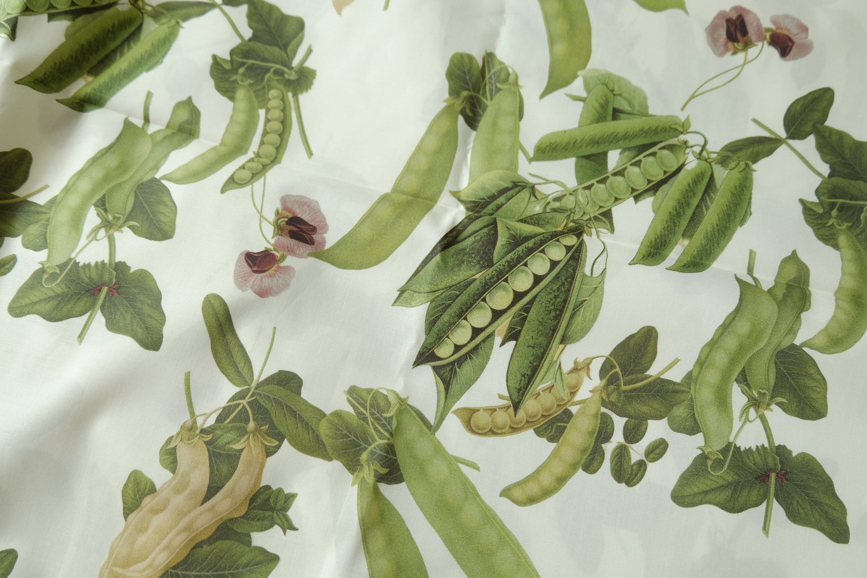 Pea Botanical Print 100s Cotton Fabric 2.2 Yards