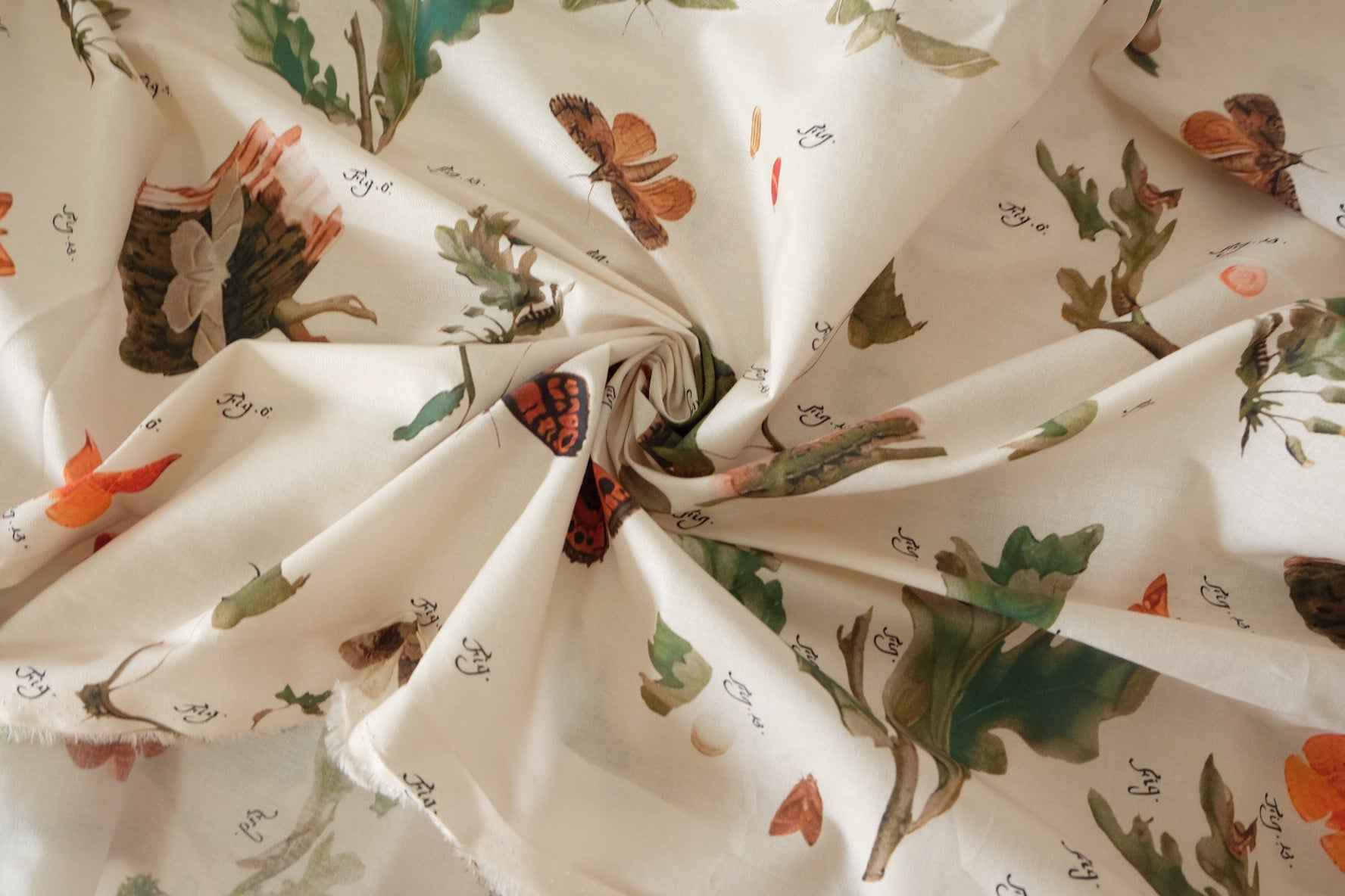 Naturalist Study Cotton Poplin — 2.73 yd