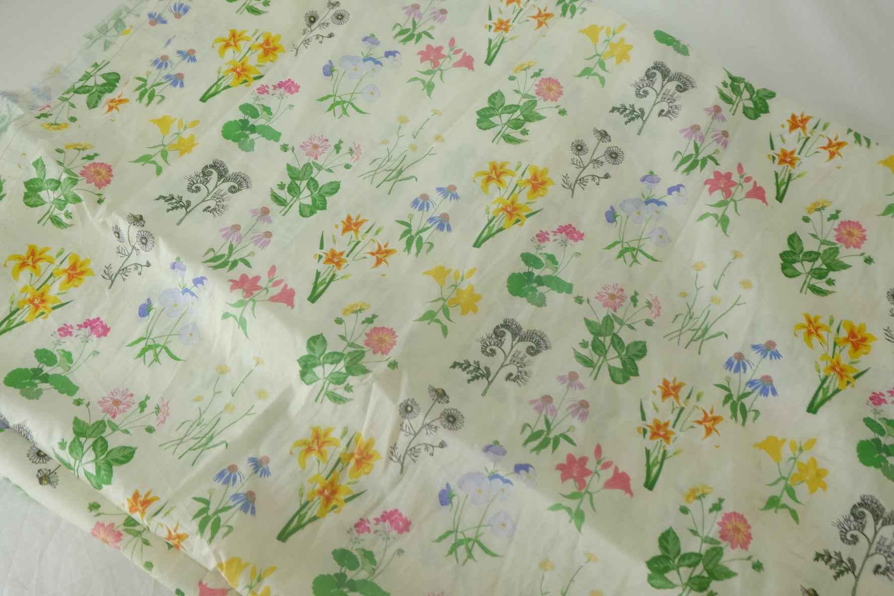 Botanical Sketchbook Cotton Poplin – 3.3 yd