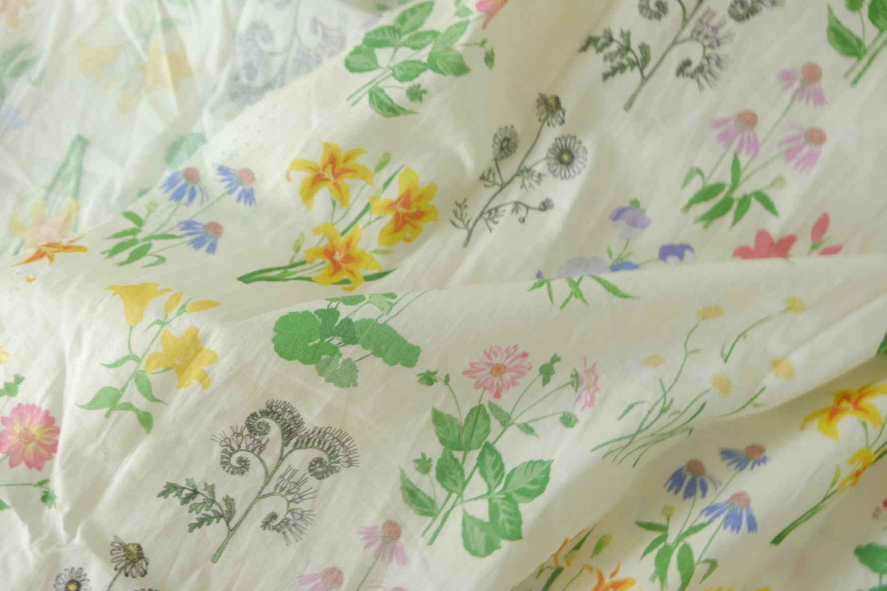 Botanical Sketchbook Cotton Poplin – 3.3 yd