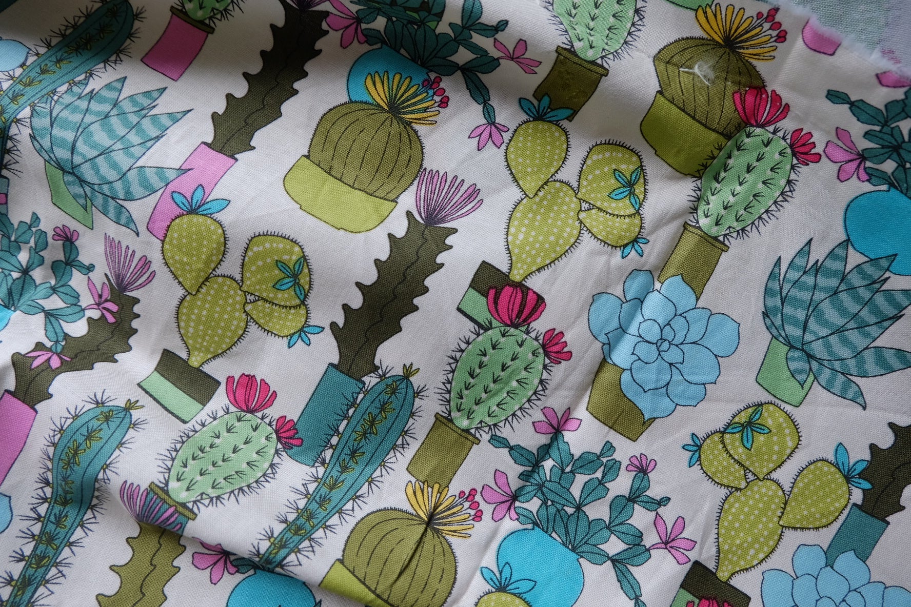 Cactus Garden Craft Cotton – 1.6 yd