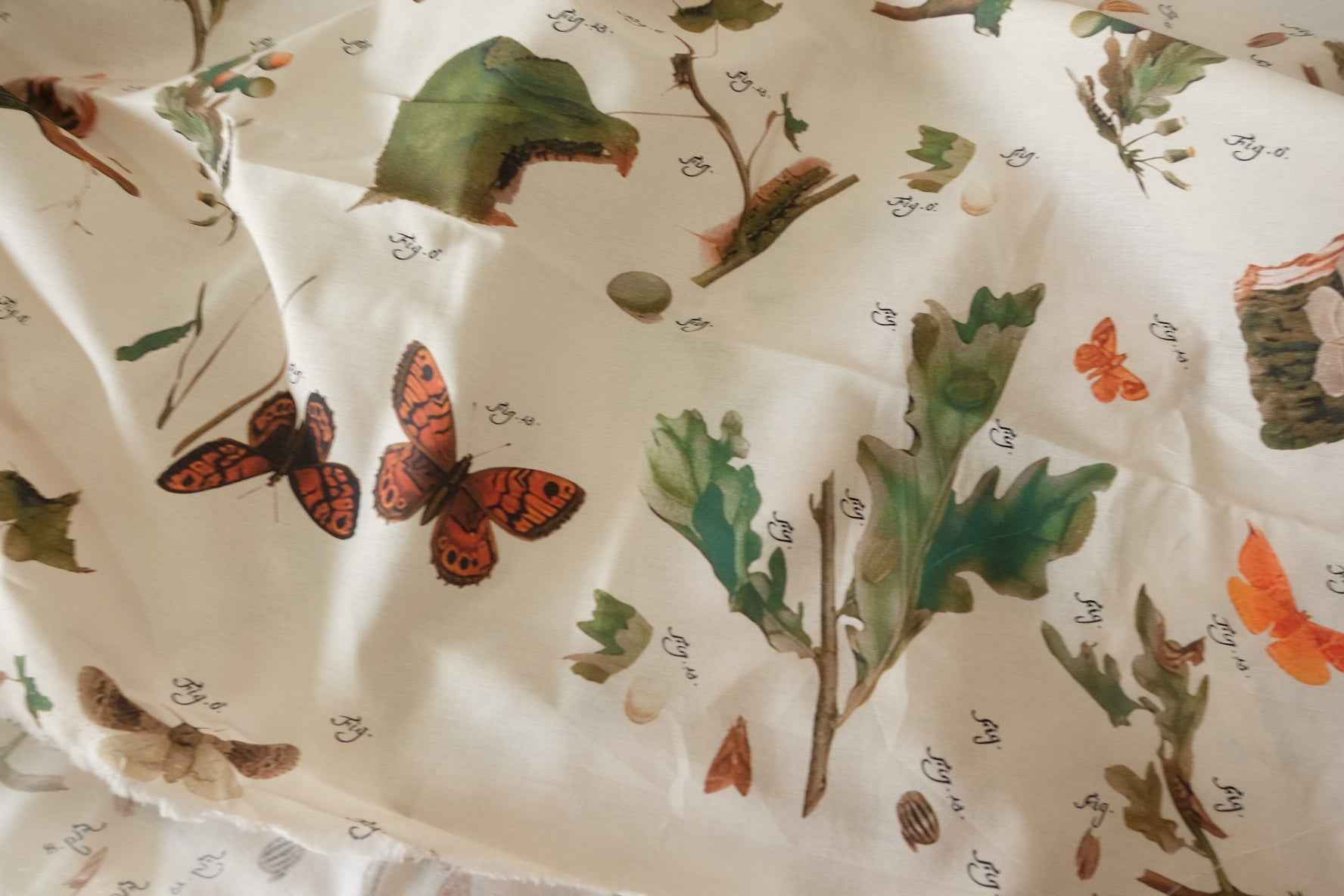 Naturalist Study Cotton Poplin — 2.73 yd