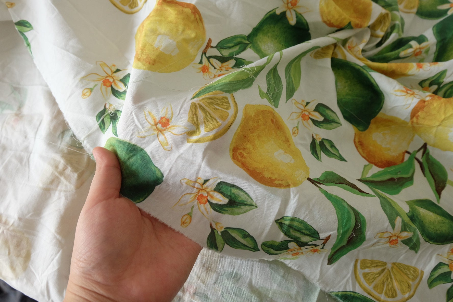 Lemon Grove Cotton Poplin Fabric – Watercolor Citrus Border Print – 2.9 yd