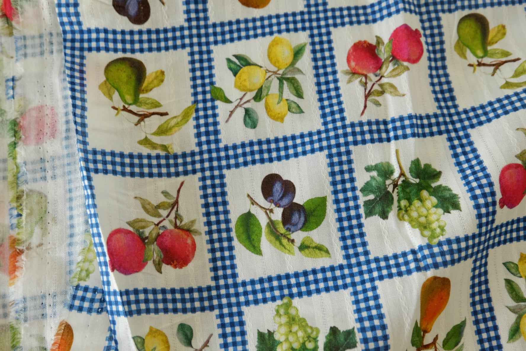 Fruit Check Textured Cotton Fabric – By the Yard