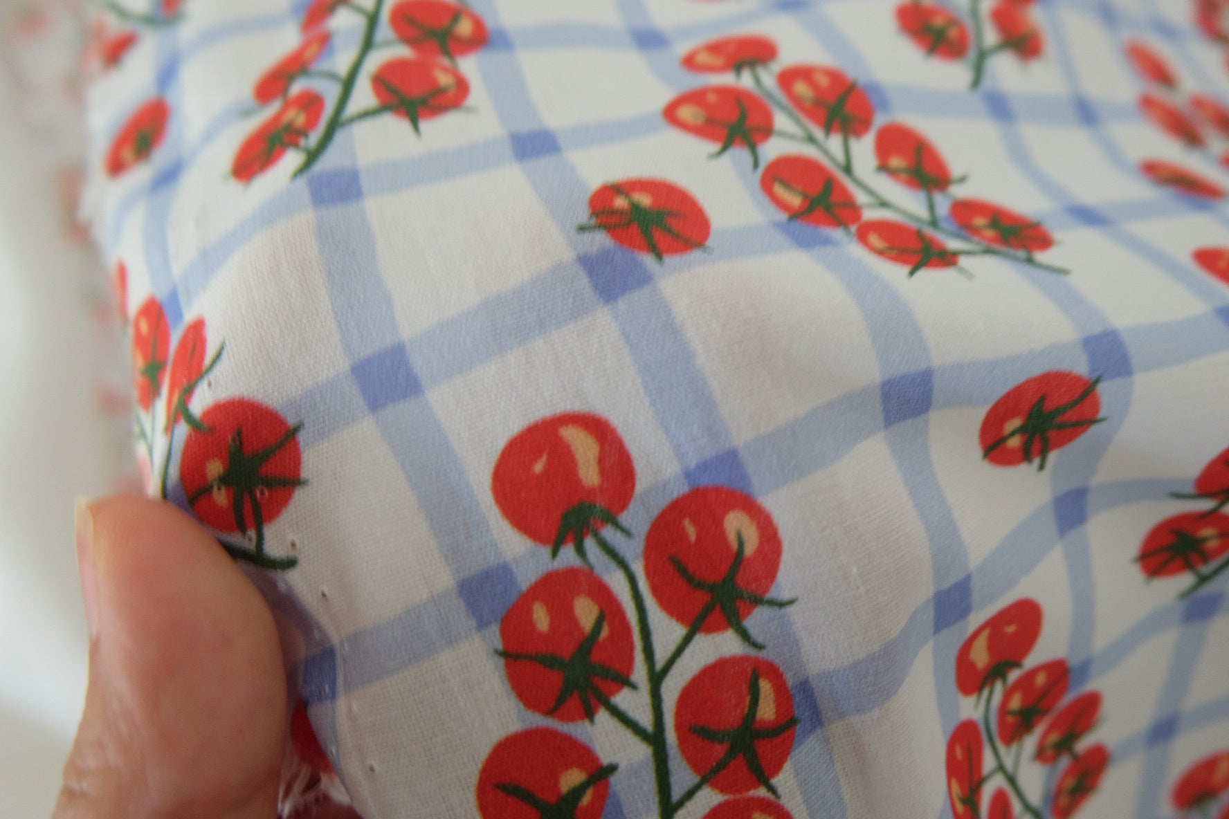 40s Cotton Poplin Fabric – Blue Gingham Tomato Vine Print – 3.3 yd