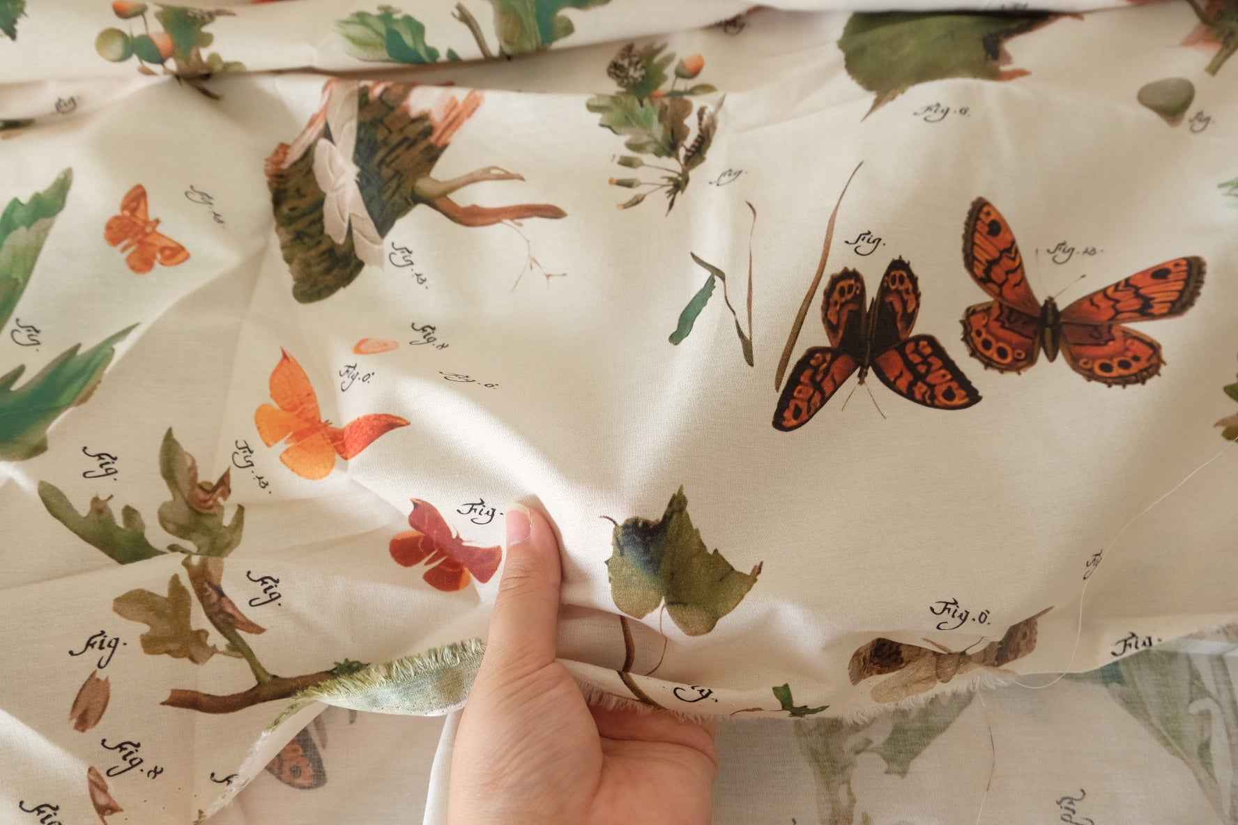 Naturalist Study Cotton Poplin — 2.73 yd