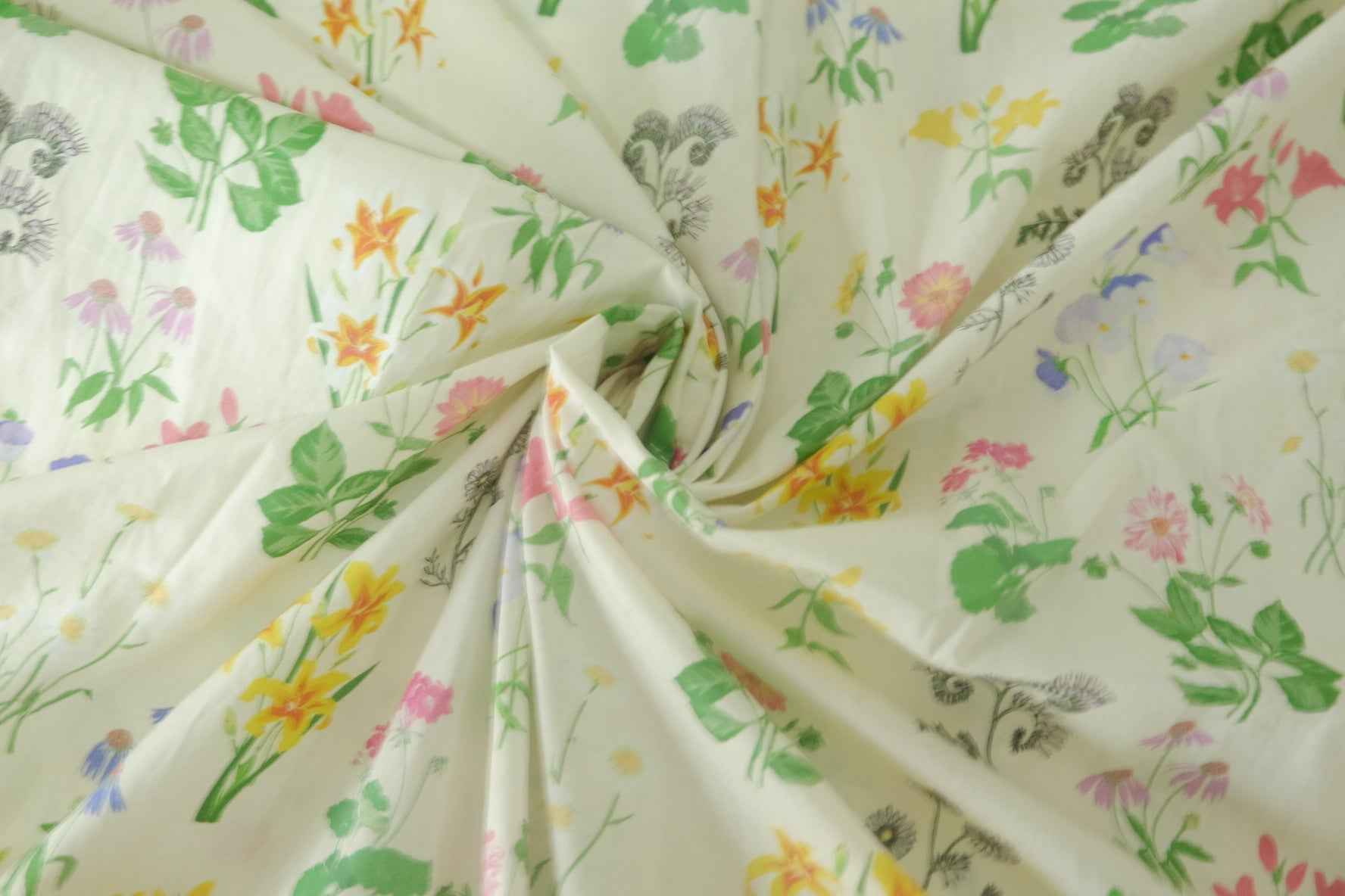 Botanical Sketchbook Cotton Poplin – 3.3 yd