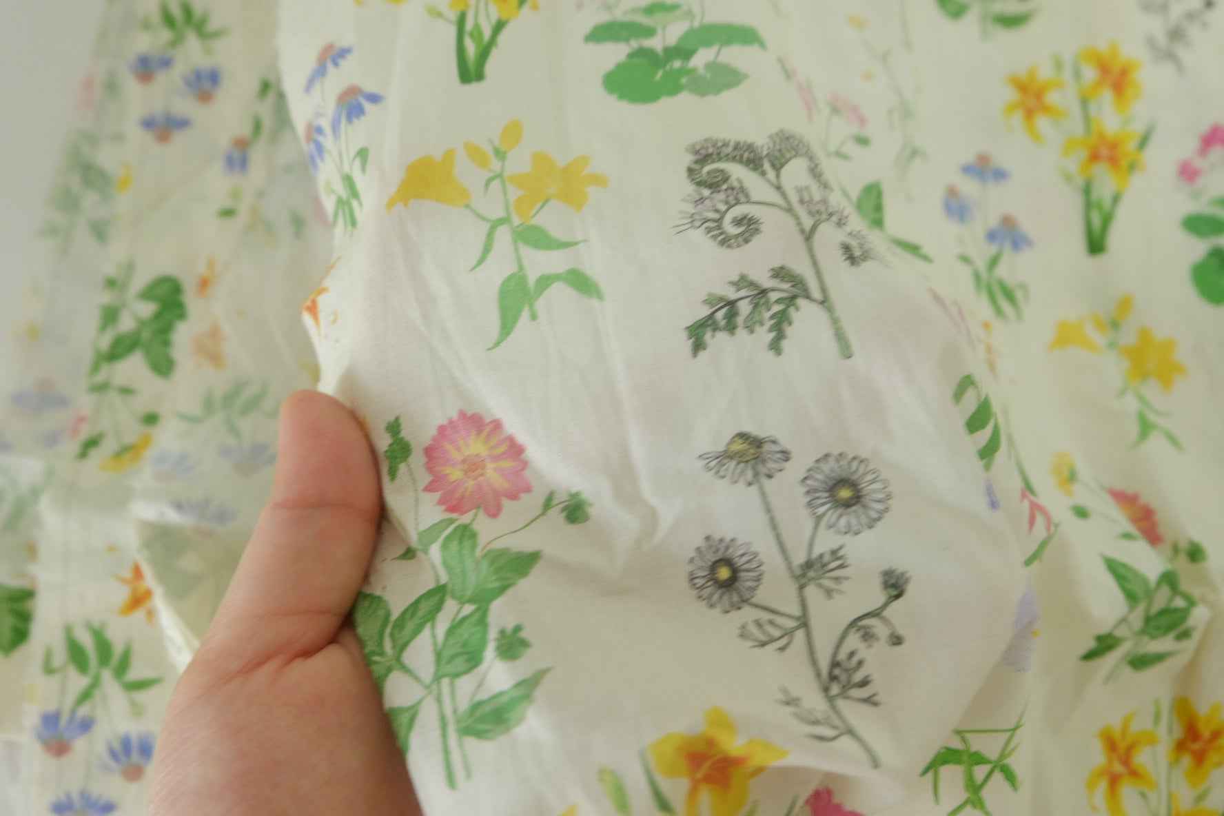 Botanical Sketchbook Cotton Poplin – 3.3 yd