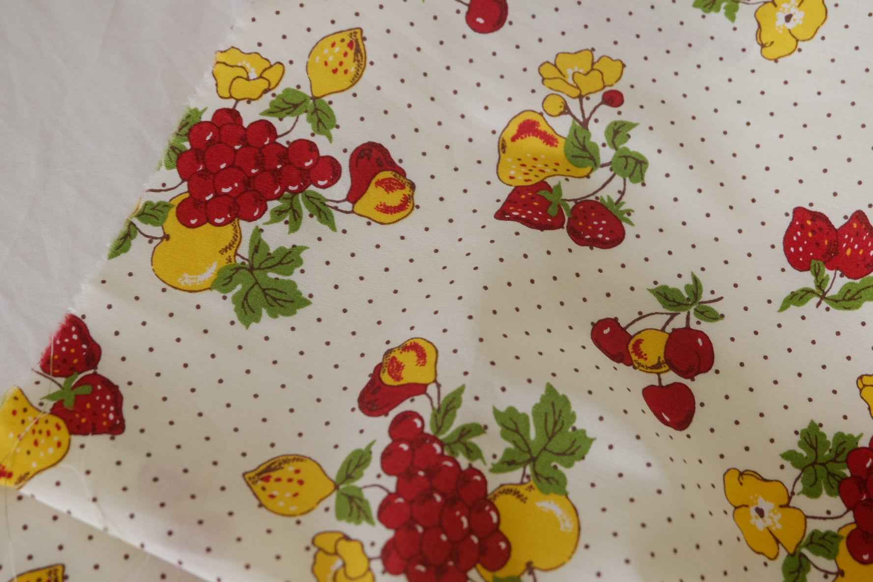 Vintage Fruit Garden Cotton Fabric – 2.2 yd / 3.3 yd