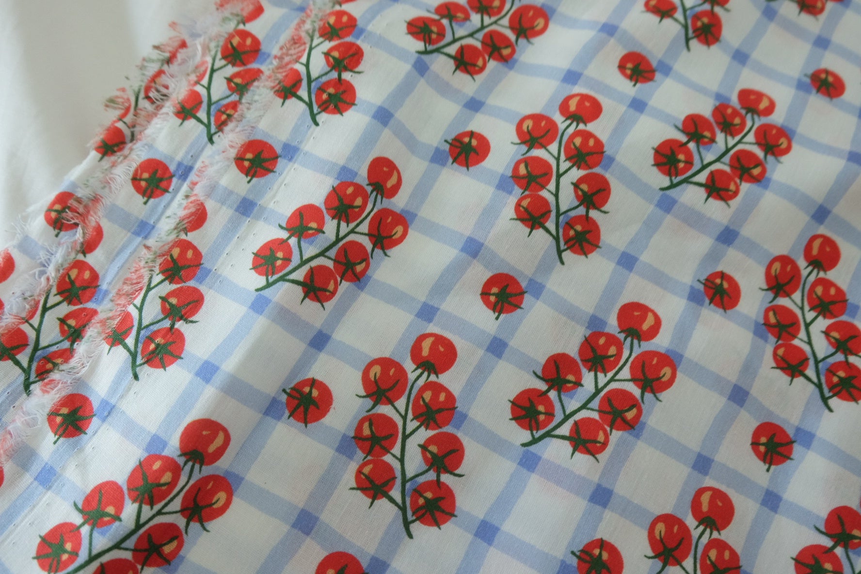 40s Cotton Poplin Fabric – Blue Gingham Tomato Vine Print – 3.3 yd