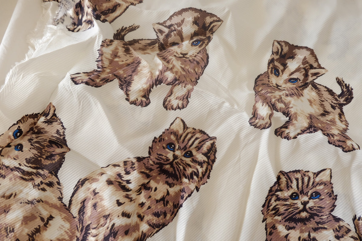 Blue-Eyed Cats Tencel Twill – 3.3 yd