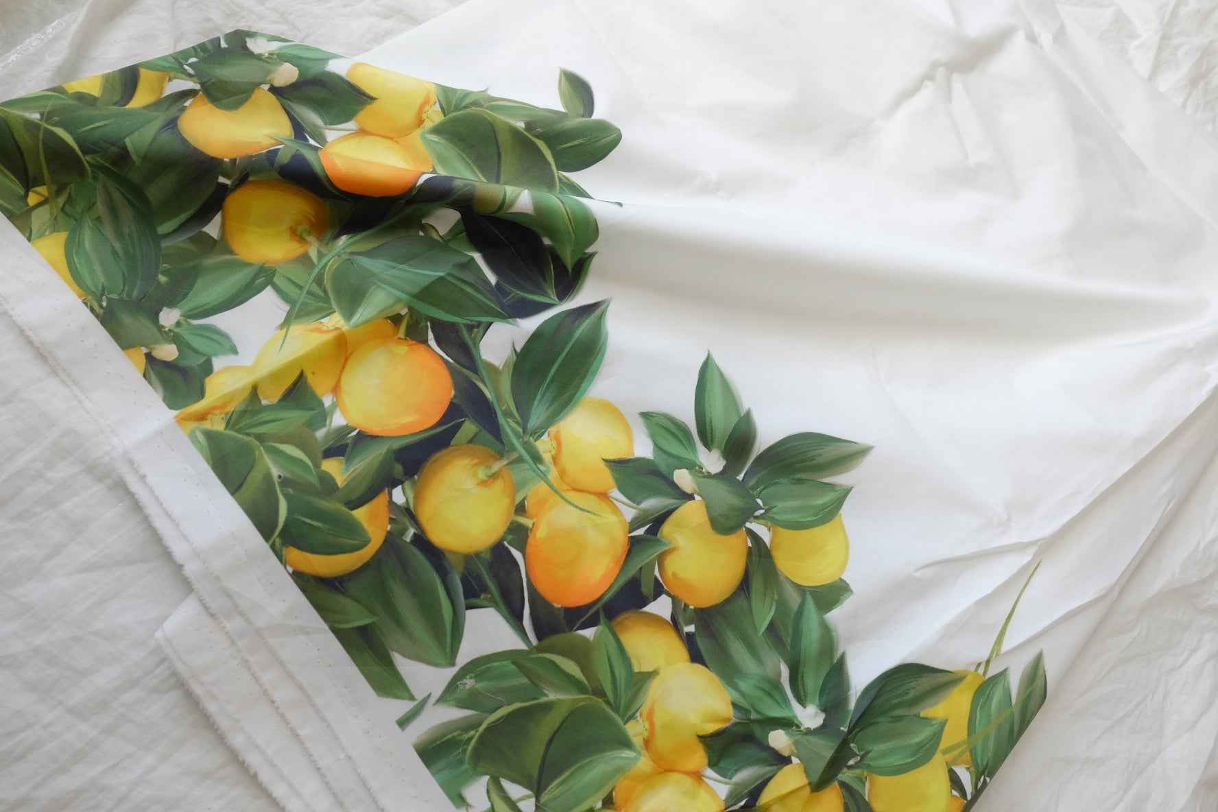 Double Border Lemon Print Cotton Poplin Fabric — 2.19 yd