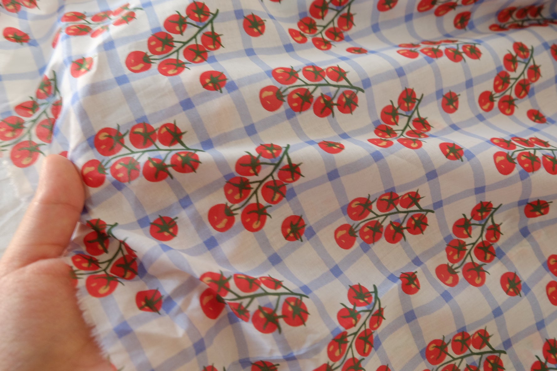 Tomato Check 100s Cotton Fabric – 3.3 yd