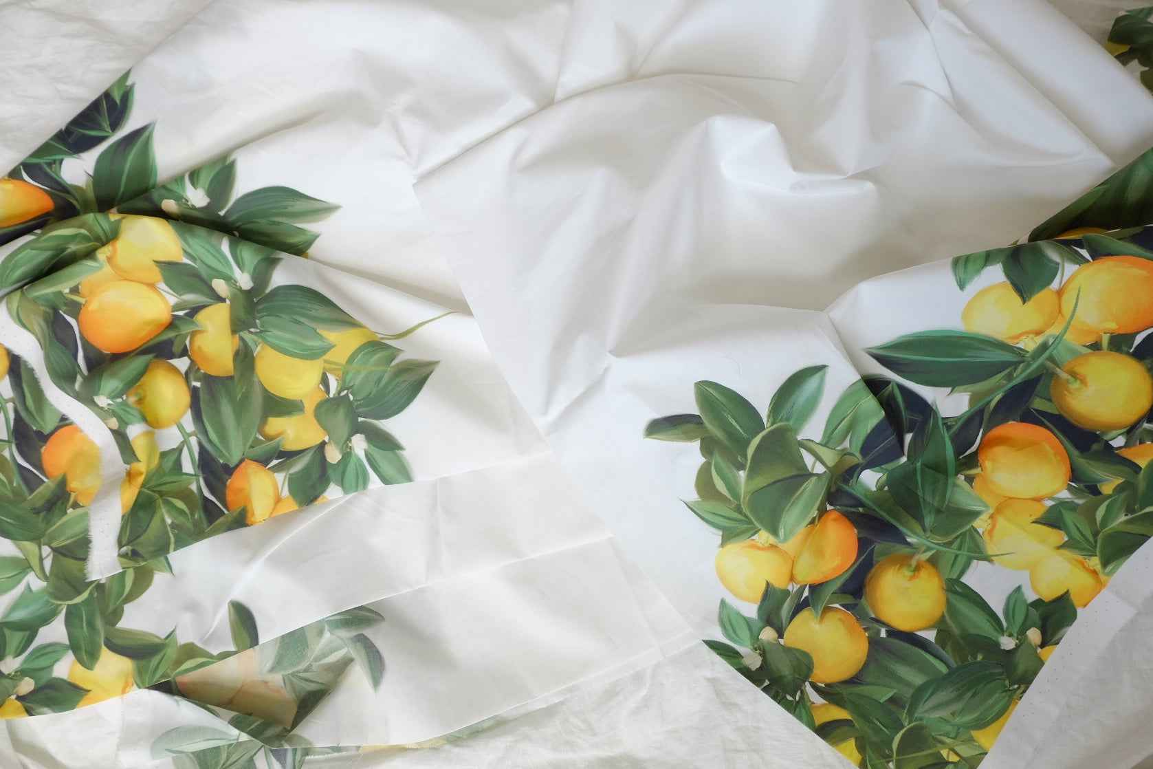 Double Border Lemon Print Cotton Poplin Fabric — 2.19 yd