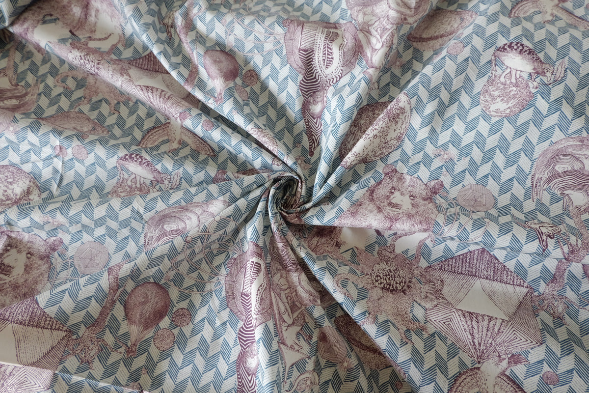 The Cabinet of Curiosities – Surreal Illustrated Cotton Lawn – 2.2 yd