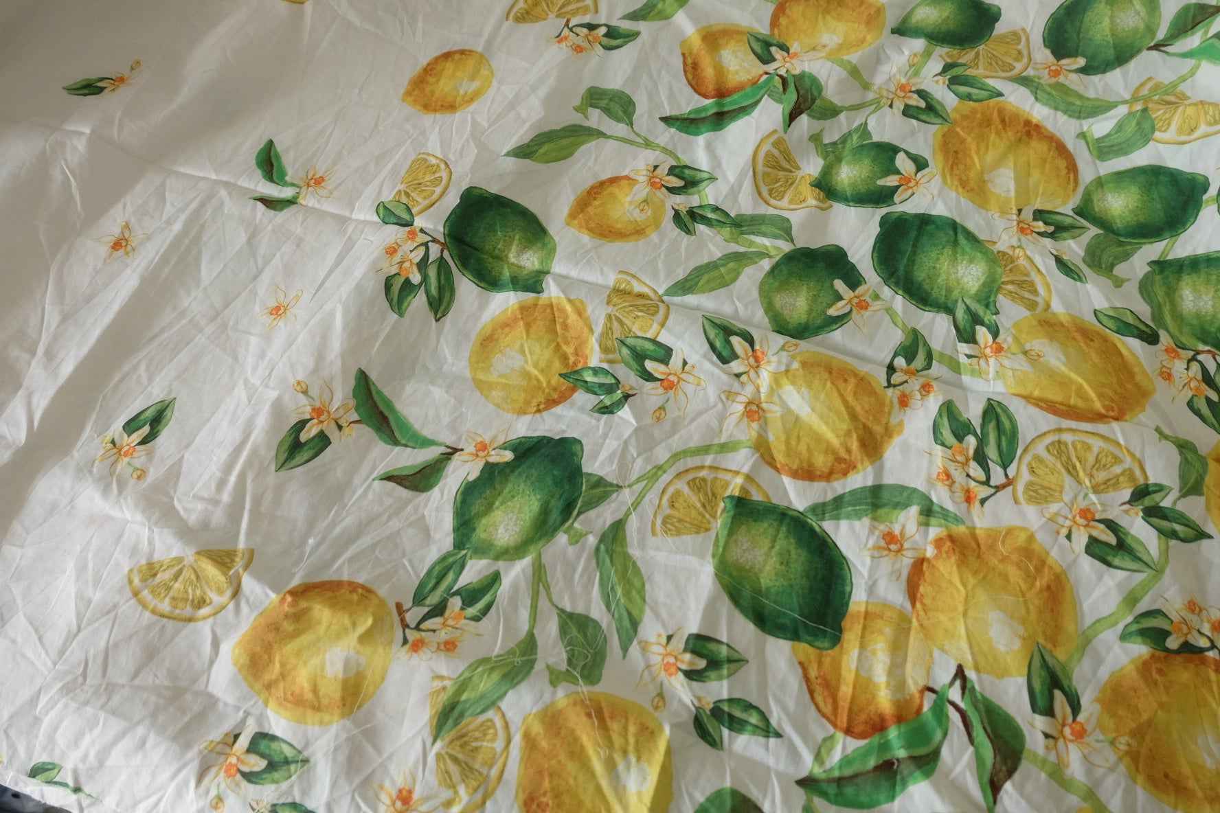 Lemon Grove Cotton Poplin Fabric – Watercolor Citrus Border Print – 2.9 yd
