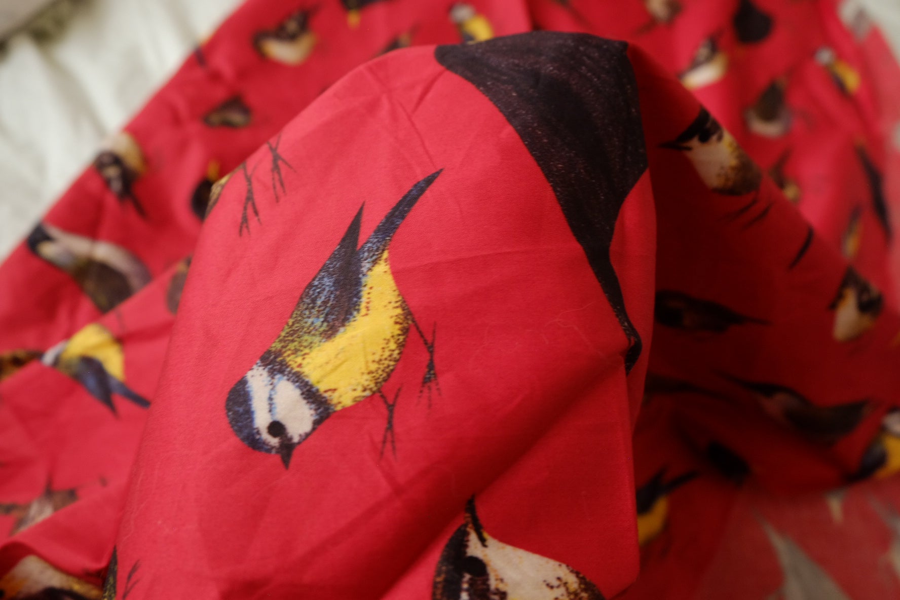 Bird Print Cotton Sateen on Red Ground (2.6 Yards)