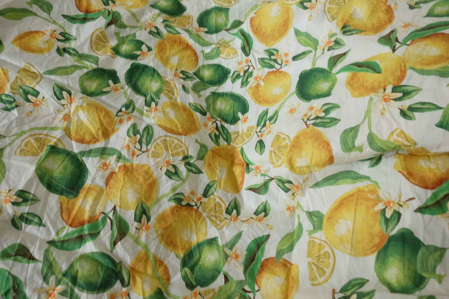 Lemon Grove Cotton Poplin Fabric – Watercolor Citrus Border Print – 2.9 yd