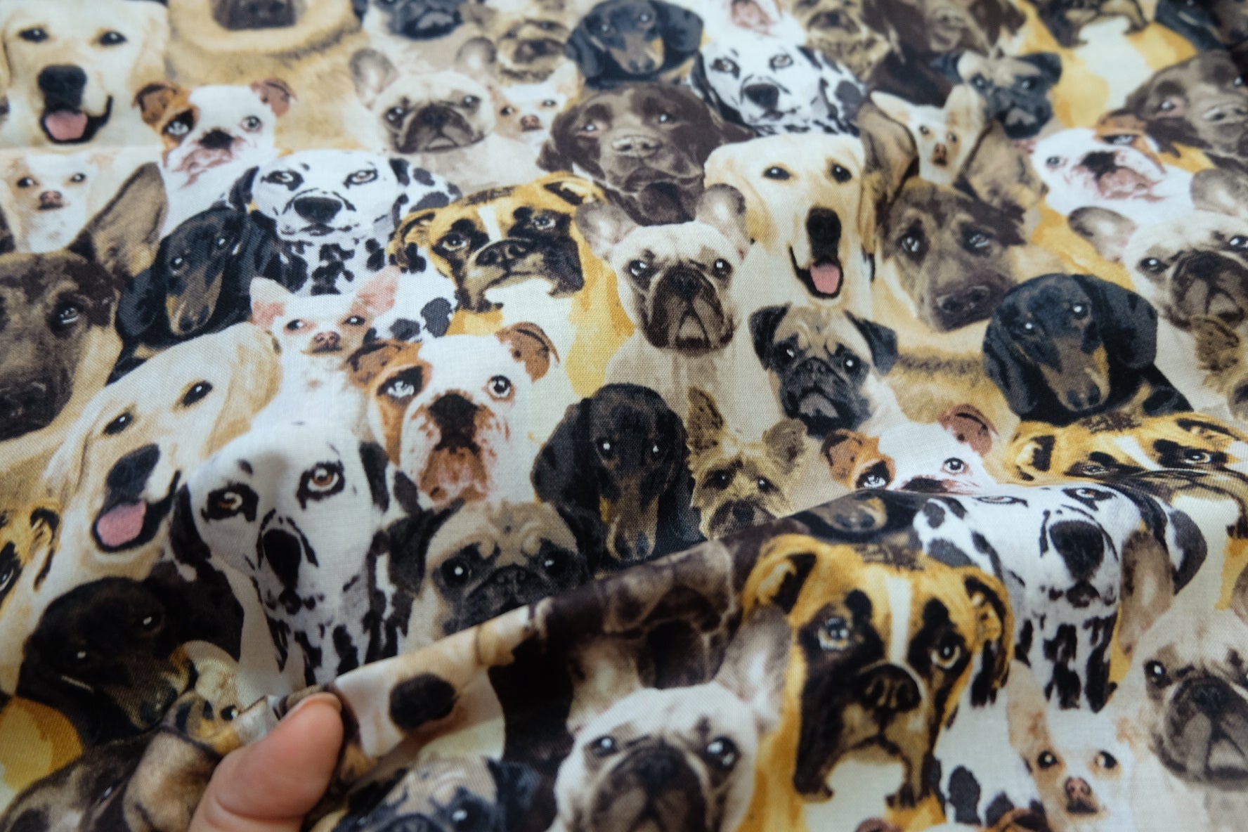 Dog Print Cotton Broadcloth – 43” Wide – 2.2 Yards Total – Fun & Whimsical – Sold by the Yard - BUBBO