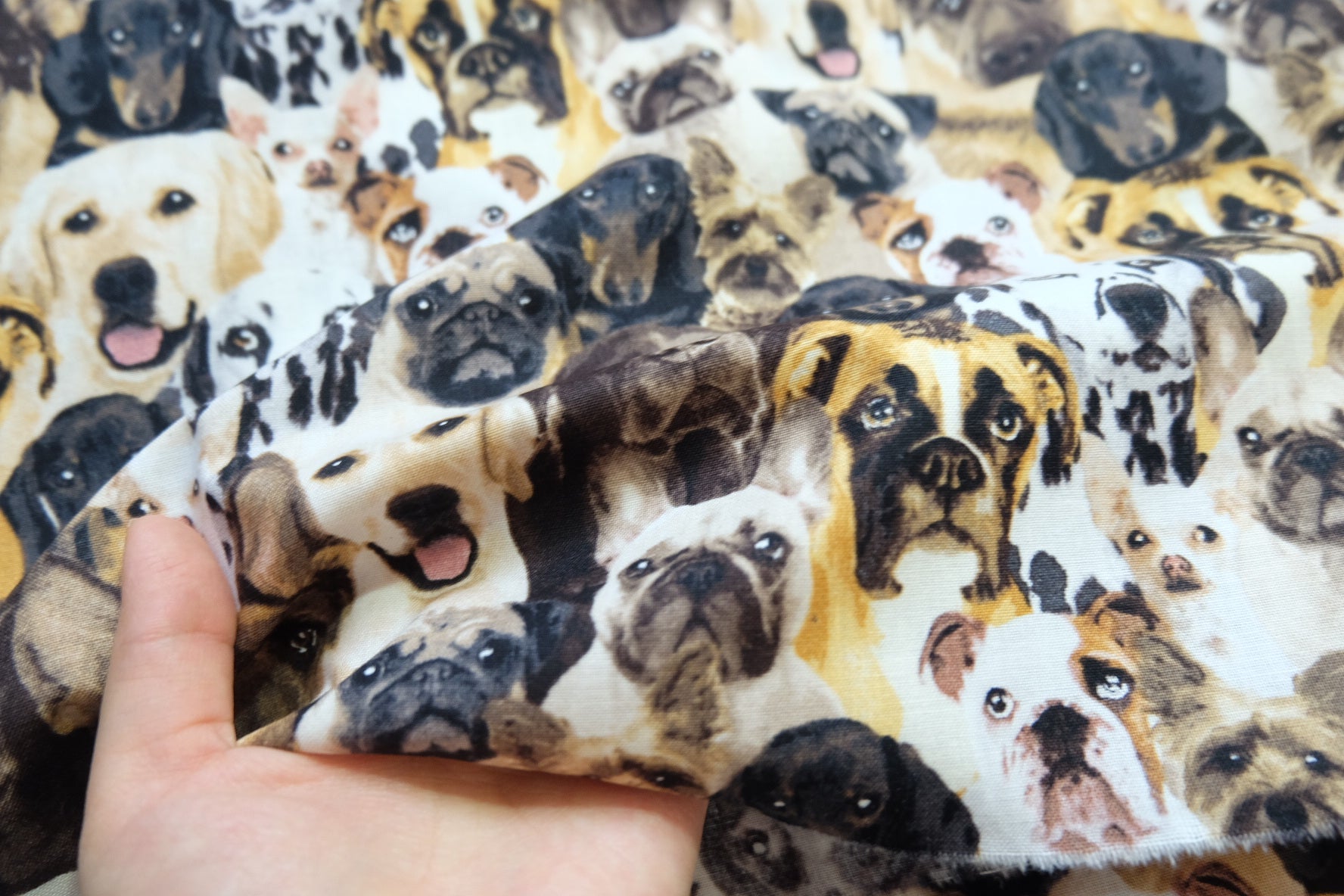 Dog Print Cotton Broadcloth – 43” Wide – 2.2 Yards Total – Fun & Whimsical – Sold by the Yard - BUBBO