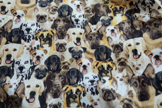 Dog Print Cotton Broadcloth – 43” Wide – 2.2 Yards Total – Fun & Whimsical – Sold by the Yard - BUBBO
